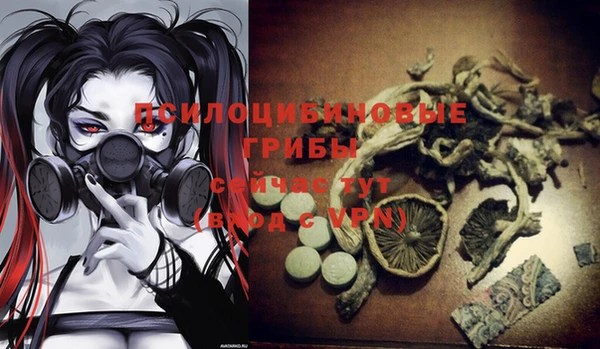 прущая мука Осташков