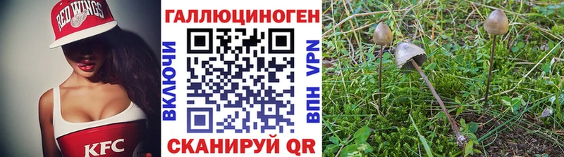 цены   Бодайбо  Галлюциногенные грибы GOLDEN TEACHER 